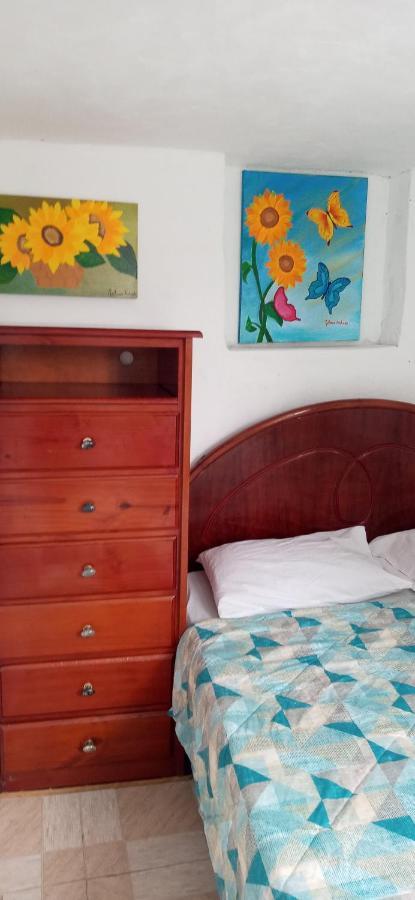 Hostel Cidade Nova 里约热内卢 外观 照片