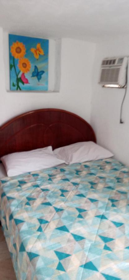 Hostel Cidade Nova 里约热内卢 外观 照片